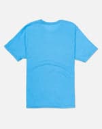 Bliss Blue Heather