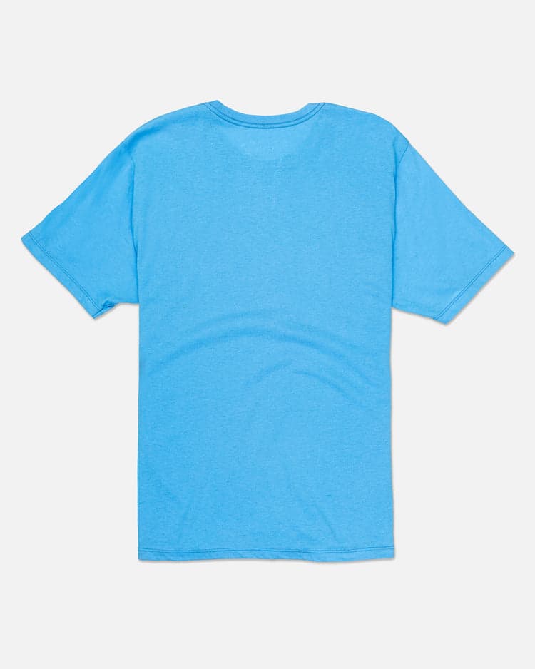 Bliss Blue Heather